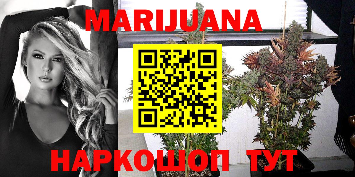 Марихуана планчик  Бошки марихуана конопля  Вход с VPN  Бошки марихуана планчик  Алушта 